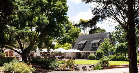 Scotchmans Hill - eAccommodation 0