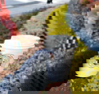 Thomas Holt Roasters - eAccommodation