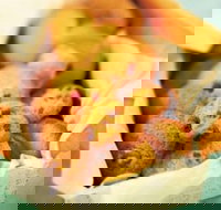 Mrs. Fields - Cockburn Gateway - Success - eAccommodation