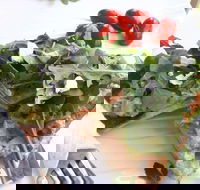 The Garden Tearooms  Cottage Nursery - eAccommodation