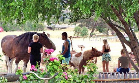 Jewels Indian Restaurant - eAccommodation 8