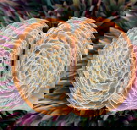 La Bouche - eAccommodation