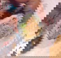 La Porchetta Colac - Colac - eAccommodation