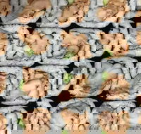 Sushi Pia - eAccommodation