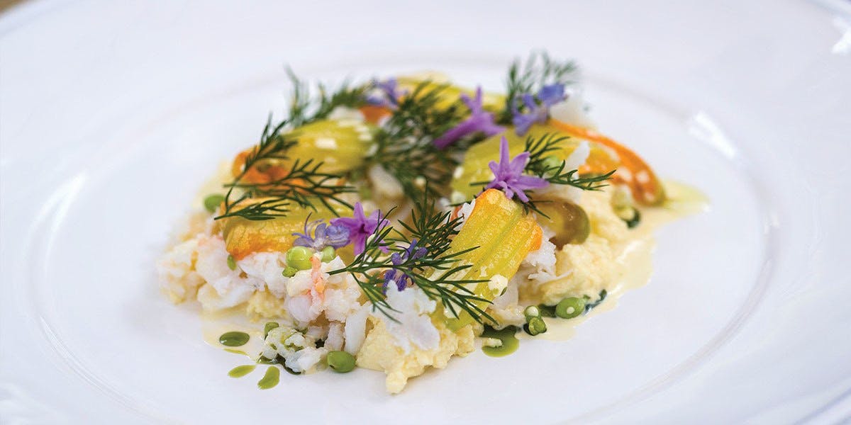 Montville QLD eAccommodation