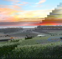 Cape Bernier Vineyard - eAccommodation