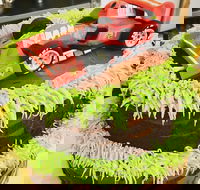 Runaway Cupcakes - eAccommodation