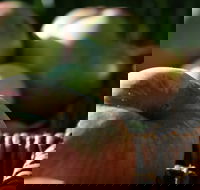 Denmark Heritage Cider Company - eAccommodation