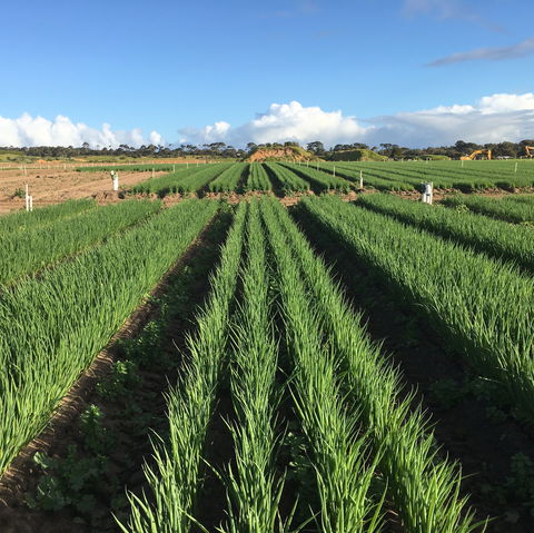 Hawkes Farm - eAccommodation 0