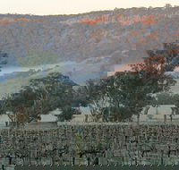 Wilksch Estate Wines - eAccommodation