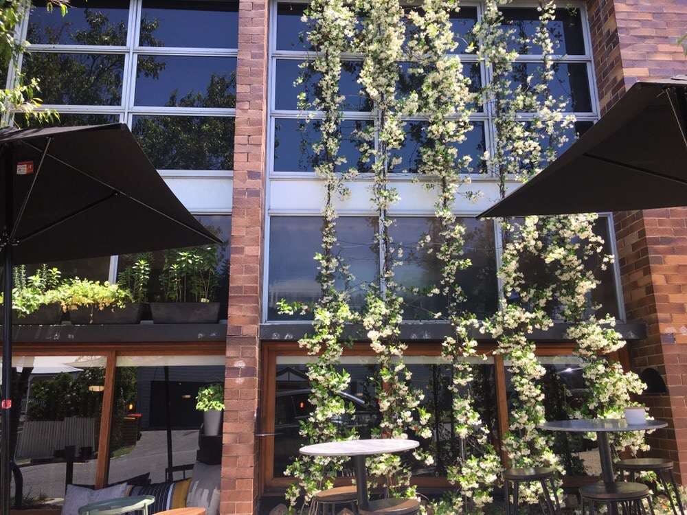 Grange QLD eAccommodation