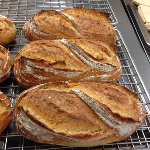 Harvest Boulangerie Patisserie - eAccommodation 0