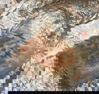 Mad Mex Fresh Mexican Grill