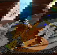 Cocina Mexican Grill and Cantina - eAccommodation