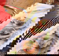 Sirocco Noosa - eAccommodation