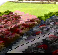 That Food Truck - eAccommodation