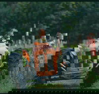 Oranje Tractor Wine - eAccommodation