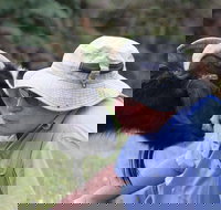 Providence Vineyards - eAccommodation