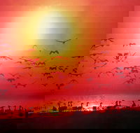 TINH and LAN Vietnamese Restaurant - eAccommodation