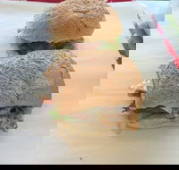 Taylor's Seafood - eAccommodation