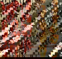 The Spice Yard - eAccommodation