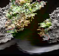 Arthur Waterhouse Lounge - eAccommodation