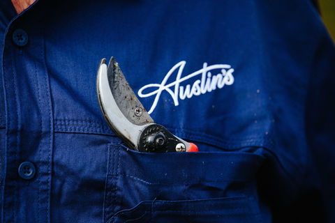 Austin's Wines - eAccommodation 2