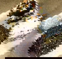 Frollicking Frog - eAccommodation