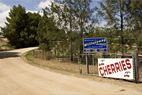 Willayoung Orchard - eAccommodation 1
