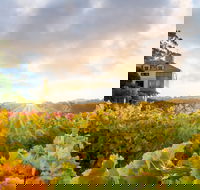 Hahndorf Hill Winery - eAccommodation