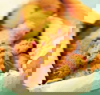 Mrs. Fields - Taylors Lakes - eAccommodation