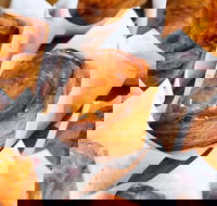 PAFU - eAccommodation