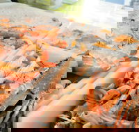 Rufus King Seafoods Amity Point - eAccommodation