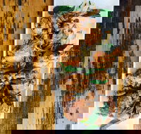 The River Hotel - eAccommodation