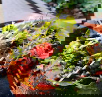 The Berry Farm Cottage Caf - eAccommodation