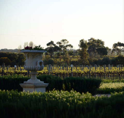 Angas Plains Wines Cellar Door - eAccommodation 1