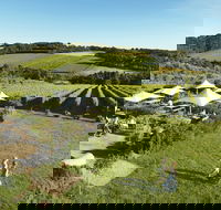 Montalto - eAccommodation