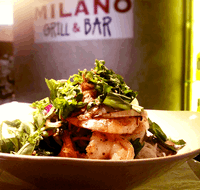 Milano Grill  Bar
