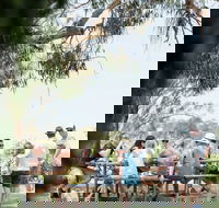 St Leonards Vineyard Caf - eAccommodation