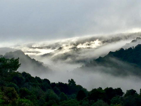 The Mushroom At Waratah - eAccommodation 0