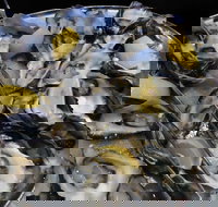 View 42o - eAccommodation