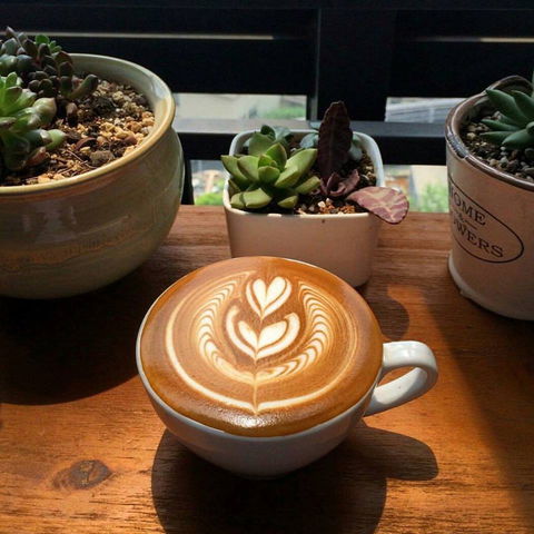 V Espresso - eAccommodation 0