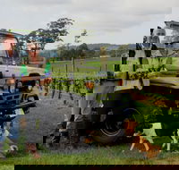 Brook Eden Vineyard - eAccommodation