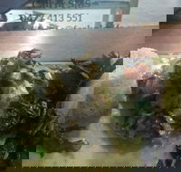 Fork n Knife My Little Deli - eAccommodation