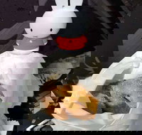 Lil' Orbit - eAccommodation