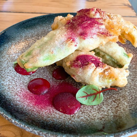 Venus & Co - eAccommodation 0