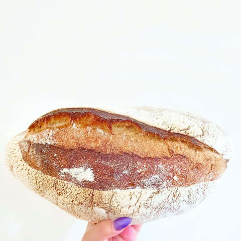 Dolcettini - Castle Hill - eAccommodation 0