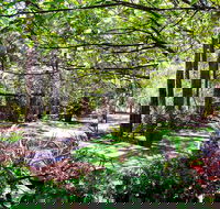 Naked Apple Cider - eAccommodation