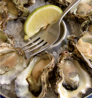 Aussie Bob’s Fish & Chips - eAccommodation 4