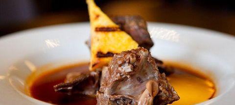 Schnitzel Encounter - eAccommodation 0